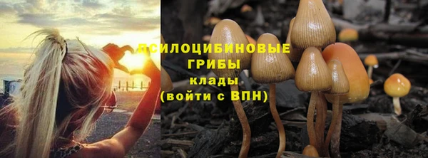 гашик Вязьма