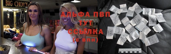 мяу мяу мука Горно-Алтайск