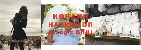 гашик Вязьма